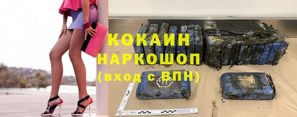 сатива Каменка
