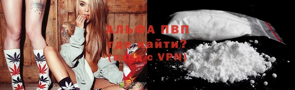 ECSTASY Иннополис