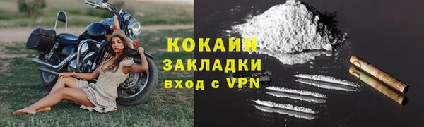 индика Инта