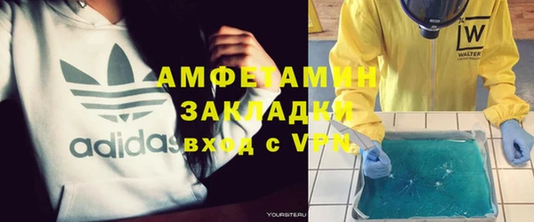 сатива Каменка