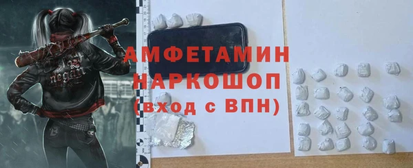 сатива Каменка