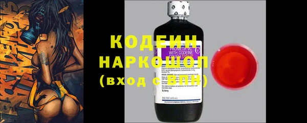 тгк Инсар