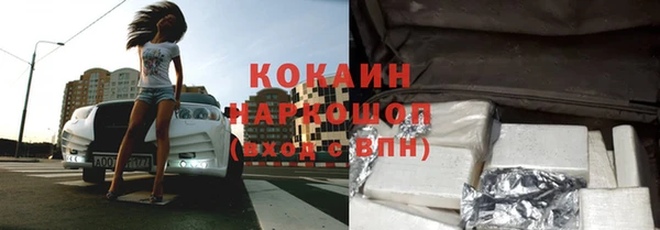 сатива Каменка