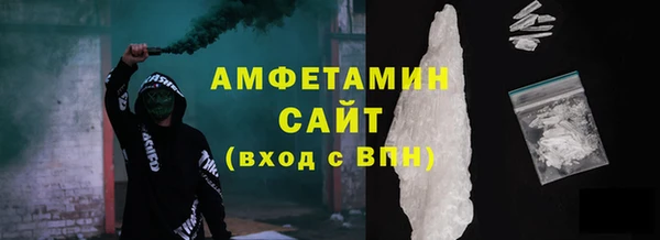 сатива Каменка