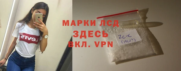 сатива Каменка