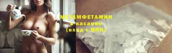 сатива Каменка
