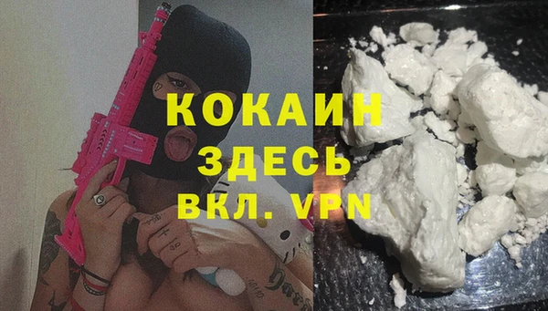 сатива Каменка