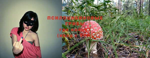 дживик Каменногорск