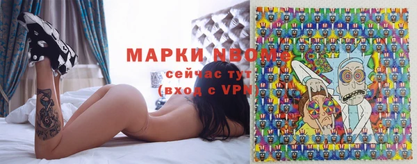 сатива Каменка