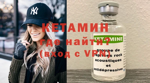 сатива Каменка