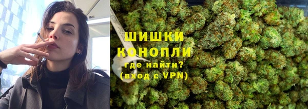 тгк Инсар
