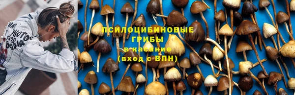 дживик Каменногорск