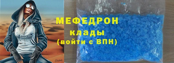 сатива Каменка