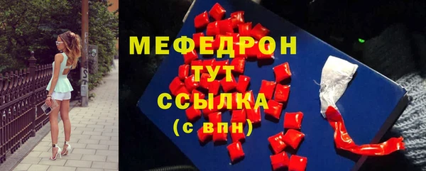 индика Инта