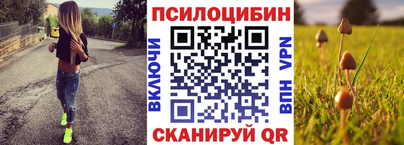 Псилоцибиновые грибы GOLDEN TEACHER  hydra вход  Соль-Илецк  где найти  
