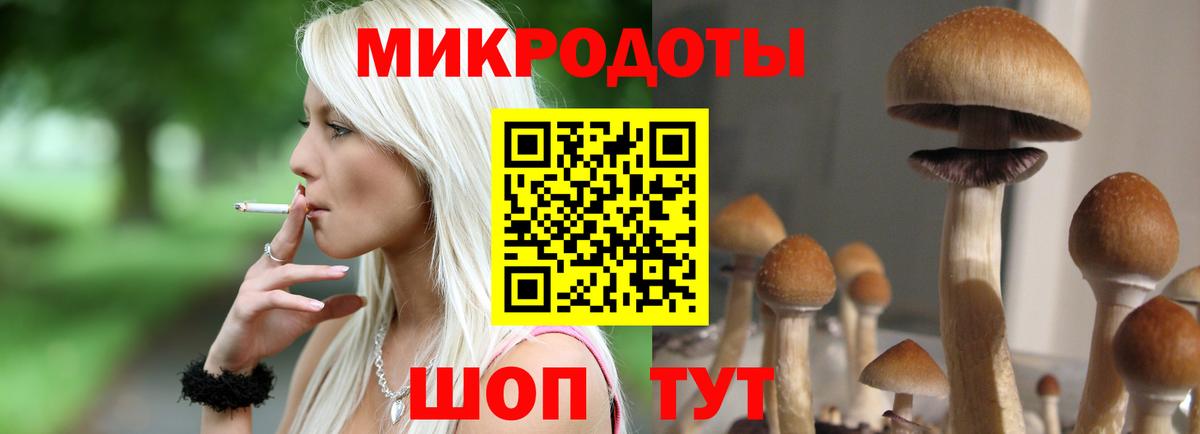 дарнет шоп  Галлюциногенные грибы Cubensis  Вход с VPN  Соль-Илецк 