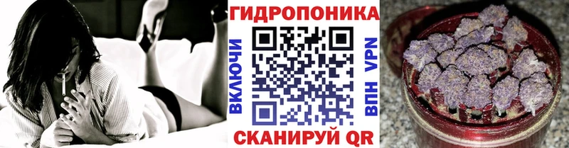Шишки марихуана сатива  Соль-Илецк 